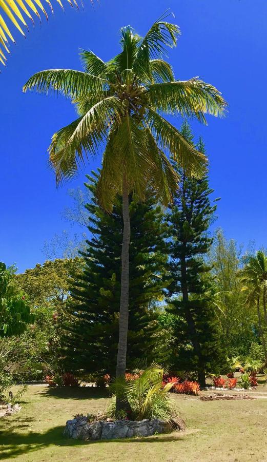 Poponi House Home North Palmetto Point Bagian luar foto